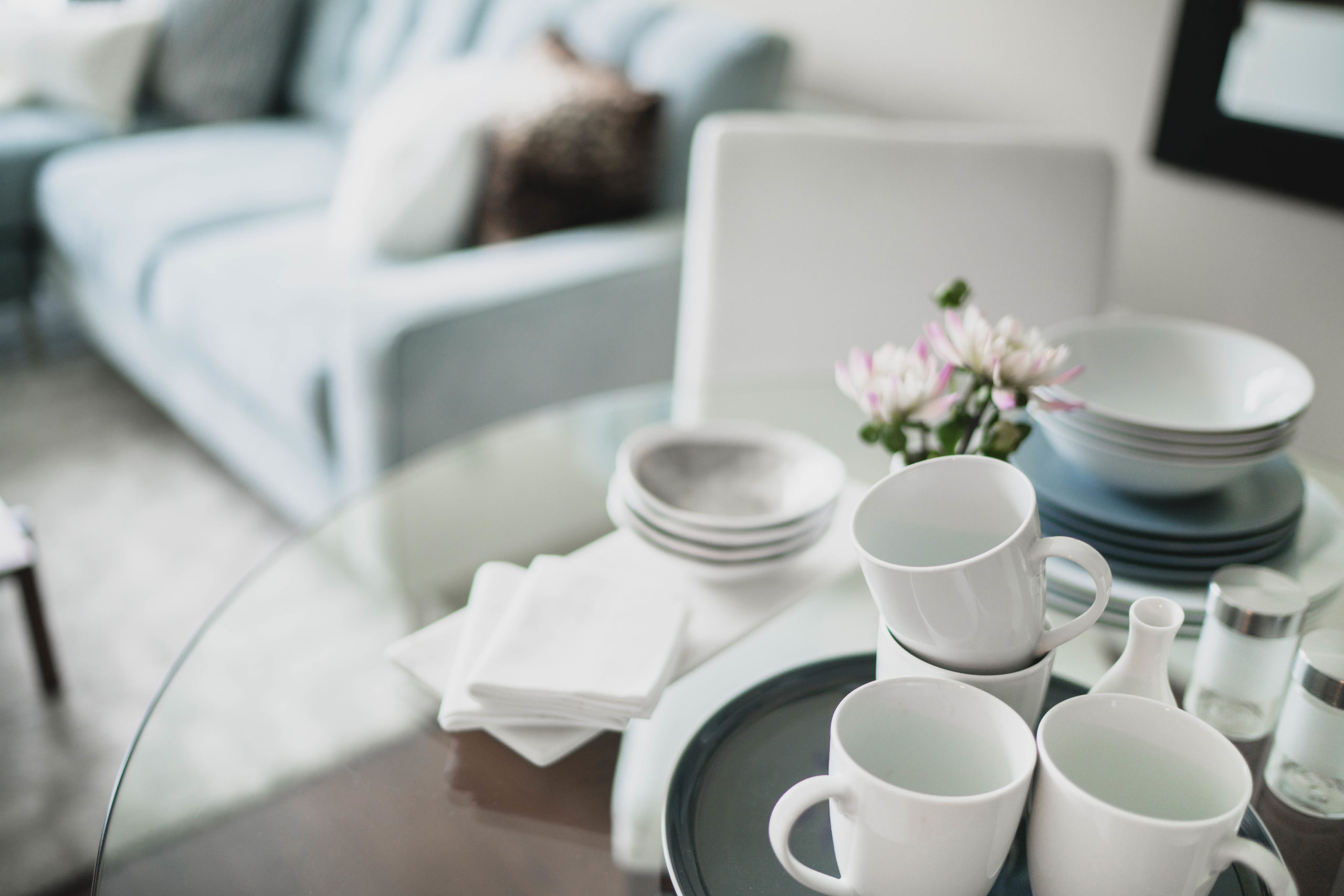 Four Point Design Build - A TRIO OF Downtown Luxury MODEL Apartments