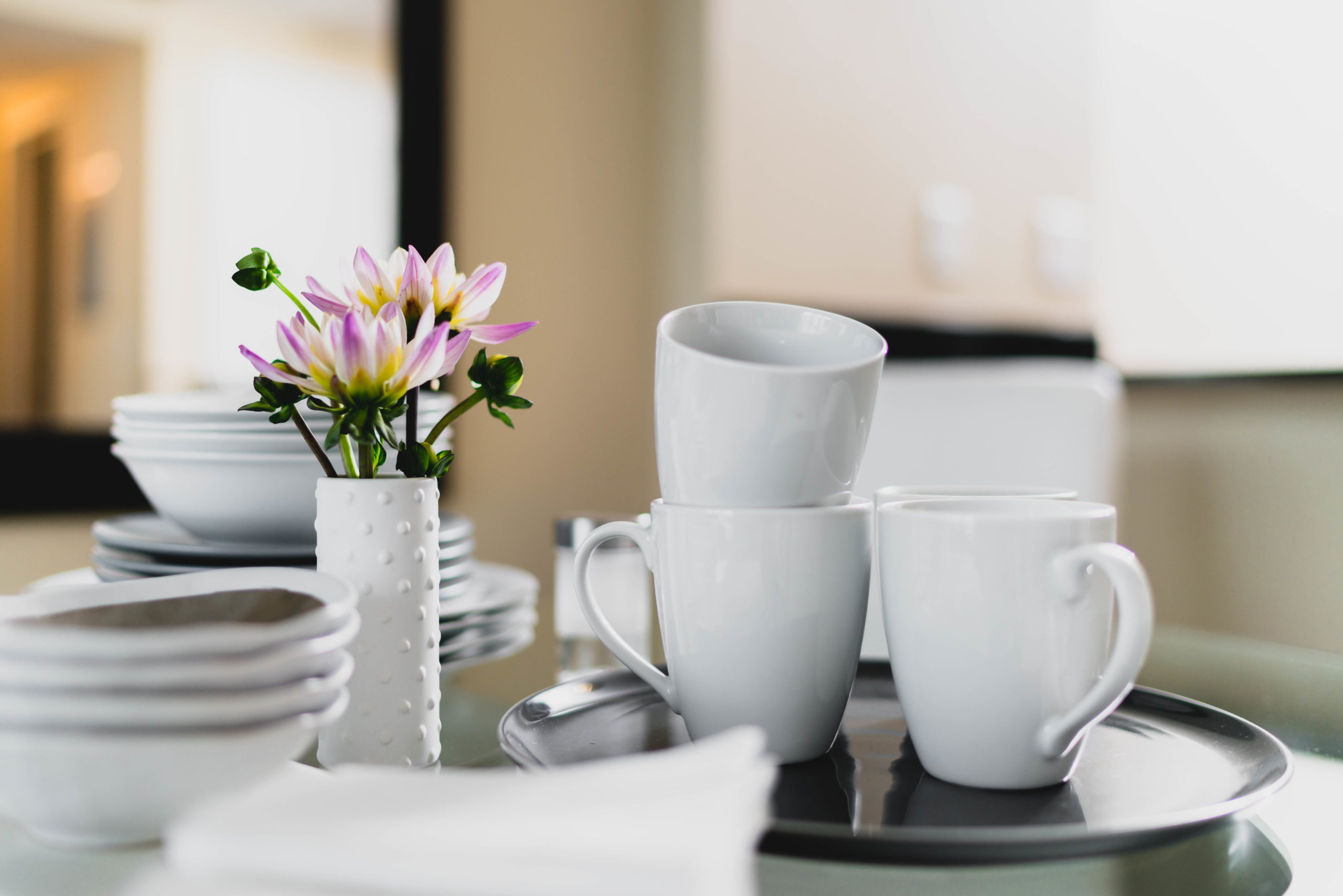 Four Point Design Build - A TRIO OF Downtown Luxury MODEL Apartments